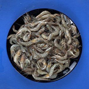 Horina Chingri (হরিণা চিংড়ি)