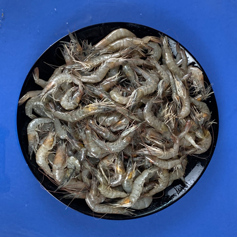 Horina Chingri (হরিণা চিংড়ি)