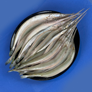 Kaikka Fish (কাইক্কা মাছ)