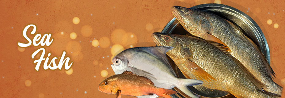 Sea Fish
