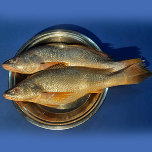 Sea Poa Fish (সামুদ্রিক পোয়া)